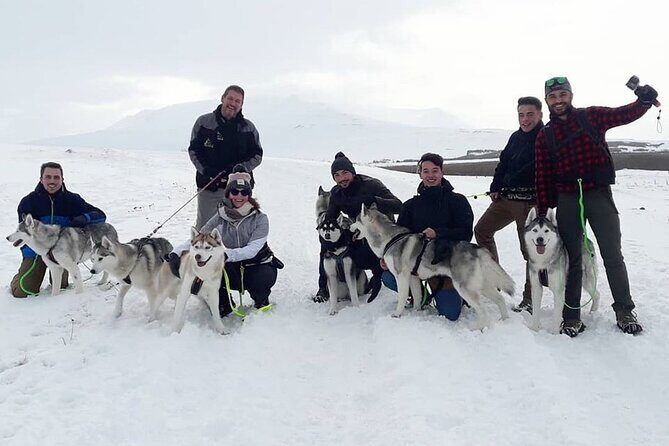 Hiking with Husky in Akureyri - Hiking with Huskies: The Trail Walk That Feels Like Training With a Friend