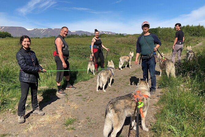 Hiking with Husky in Akureyri - Who Should Book This Husky Hike (and Who Might Skip It)