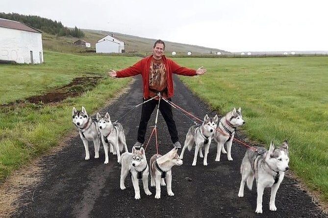 Hiking with Husky in Akureyri (private) - The Hike: Forest, Sea Air, and That Off-Trail Feeling