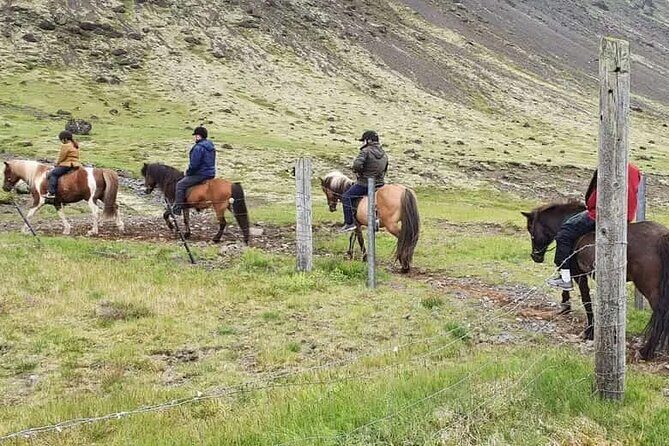 Horse Riding Tour in Reykjadalur (Smoky Valley)-All Riding Levels - Reykjavik’s close-up: why Reykjadalur is such a smart day plan