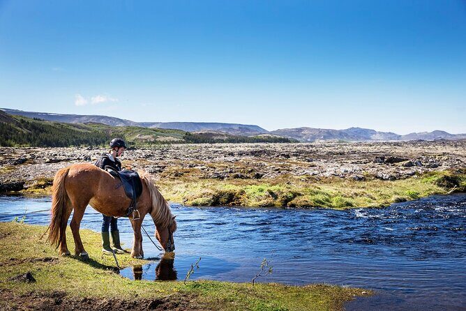 Horseback Riding Tour in Iceland - Key things to know before you mount