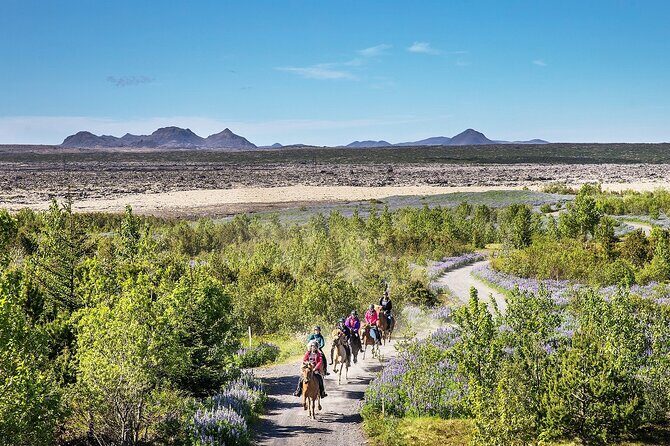 Horseback Riding Tour in Iceland - Ishestar Horses: A beginner-friendly Iceland ride that still feels real