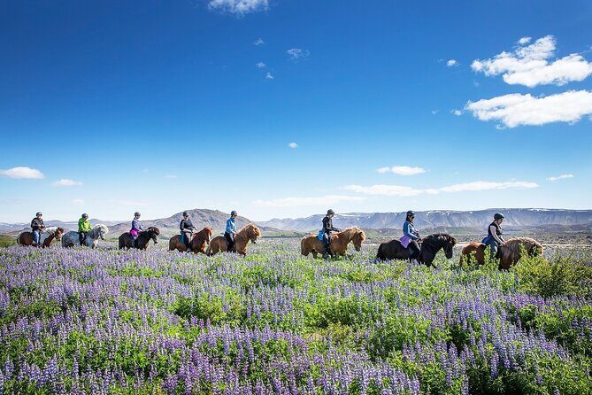 Horseback Riding Tour in Iceland - Included gear makes a difference more than you think