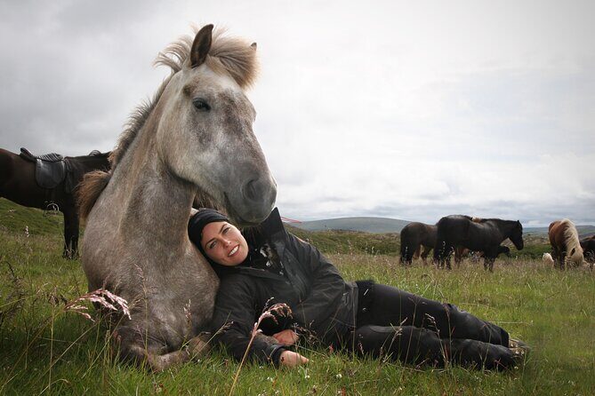 Horseback Riding Tour in Iceland - Price and value: $135.16 for a short ride done right
