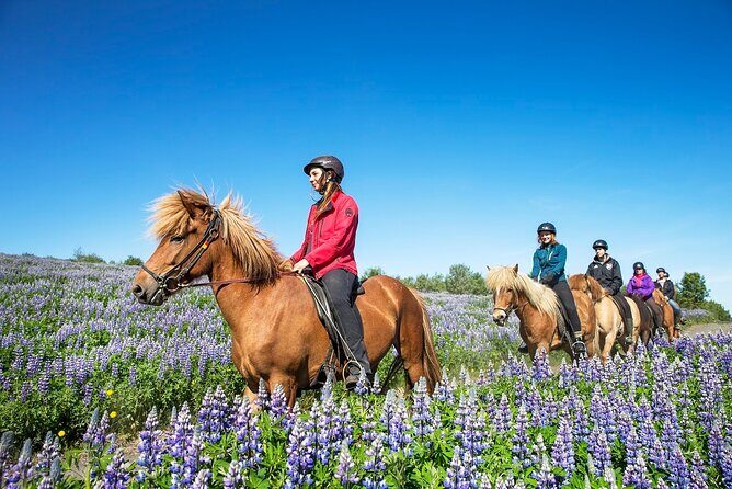 Horseback Riding Tour in Iceland - Weather reality: plan for flexibility, not perfection