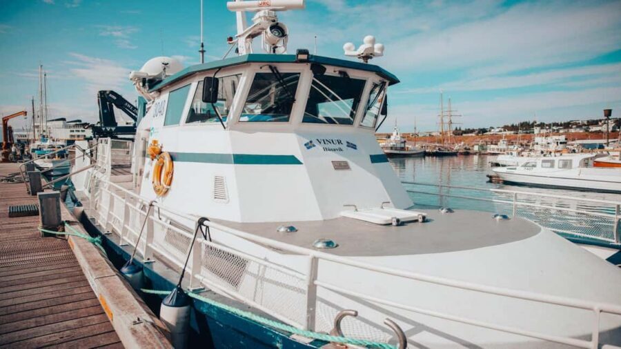 Húsavík: Family-Run and Guided Whale Watching Tour - Staying Warm: Safety Suits, Lifejackets, and What to Bring