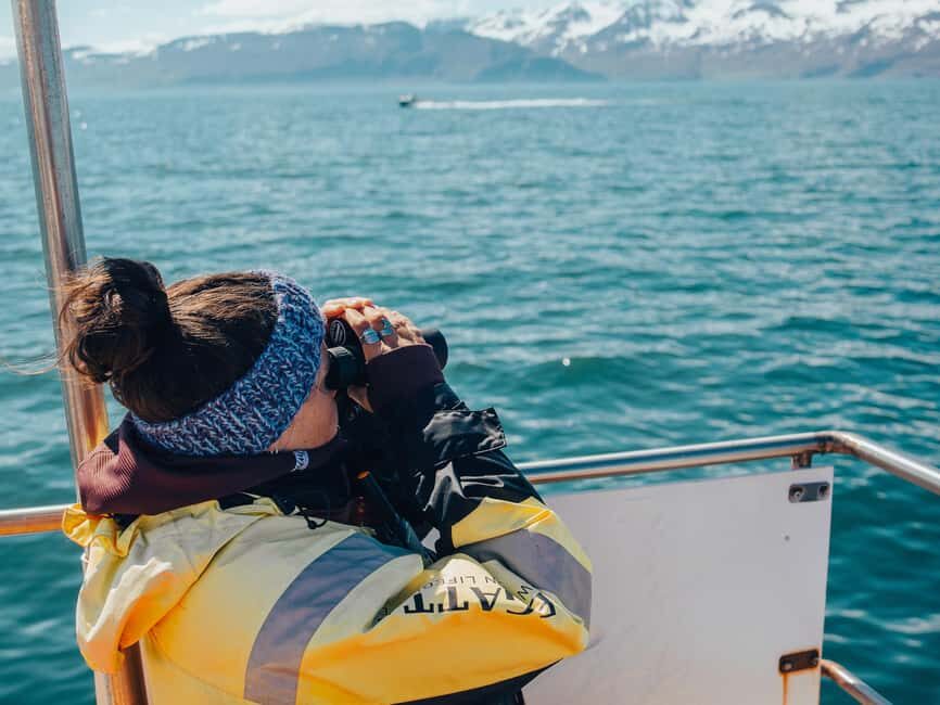 Húsavík: Family-Run and Guided Whale Watching Tour - Responsible Whale Watching in Practice (Not Just on a Poster)
