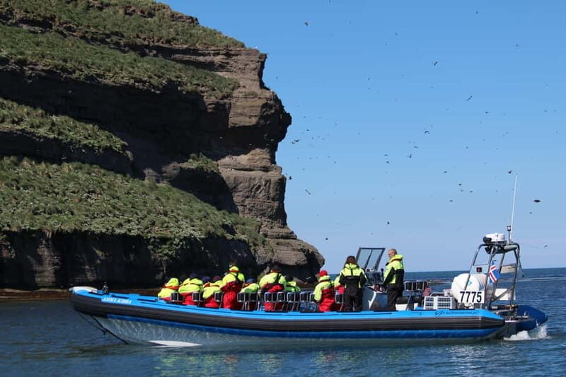Húsavík: Original Big Whale Safari & Puffins by Speedboat - Should you book this RIB whale safari from Húsavík?