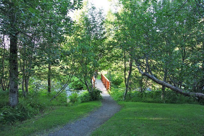 Húsavík walking tour - Town gardens and wooden bridges: where the photos actually happen