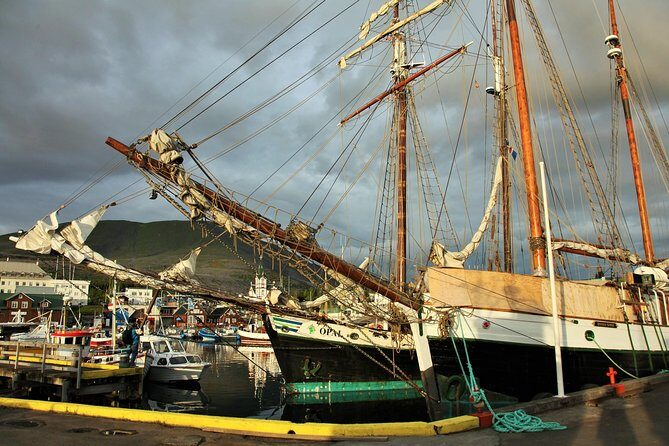 Húsavík walking tour - Meeting point, timing, and pace: what you can expect in real life