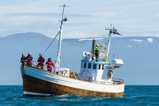 Húsavík Whale Watching Tour, family owned and operated - Key highlights worth knowing
