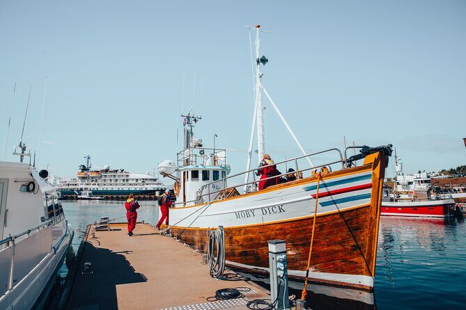 Húsavík Whale Watching Tour, family owned and operated - Whale country: why Húsavík works (and how this tour is set up)