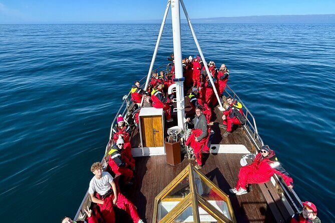 Húsavík Whale Watching Tour, family owned and operated - Weather, wind, and motion: what comfort really requires