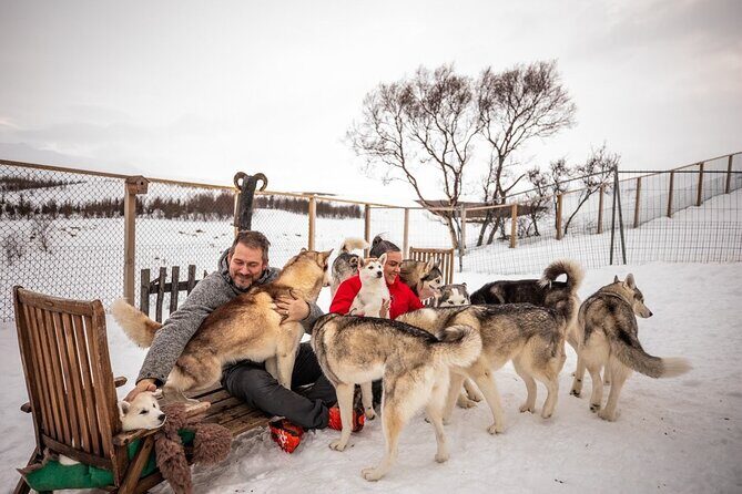 Husky Petting in Akureyri (private) - Key things to know before you go