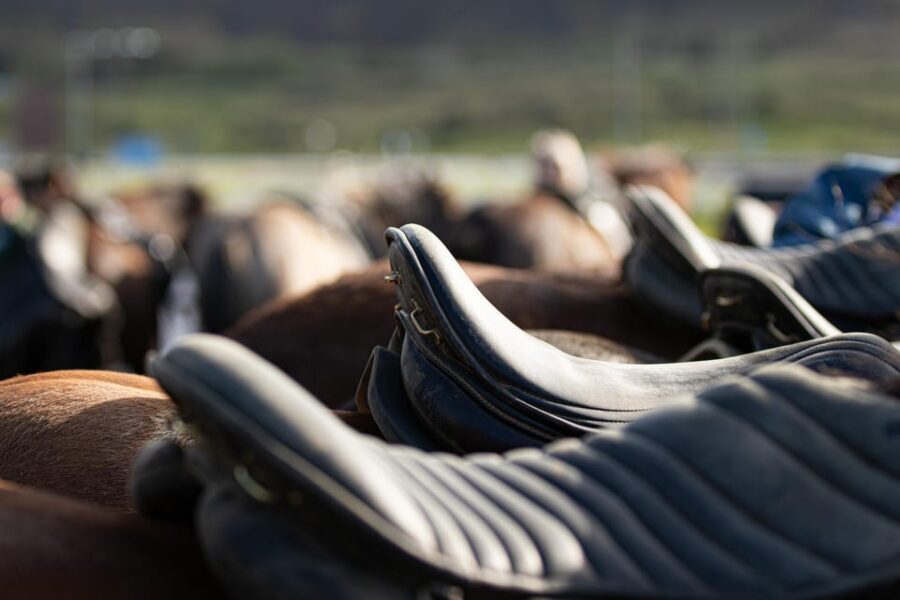 Hveragerdi: Countryside Charm Horse Riding Tour - Meet Eldhestar Volcano Horses at Vellir Farm and Get Set Up Properly