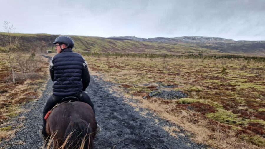 Hveragerði: Horseback Riding Tour for Beginners and … - Key things I’d plan around