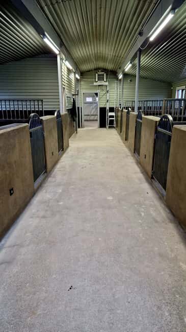 Hveragerði: Horseback Riding Tour for Beginners and … - Why the Small-Group Format Feels Better Than a Crowd