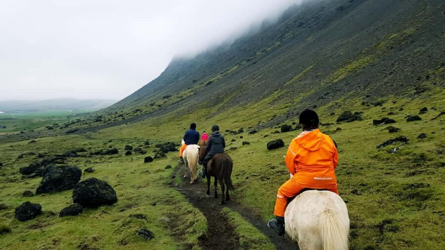 Hveragerði: Horseback Riding Tour for Beginners and … - Quick Practical Notes: Times, Meeting Point, and Getting There