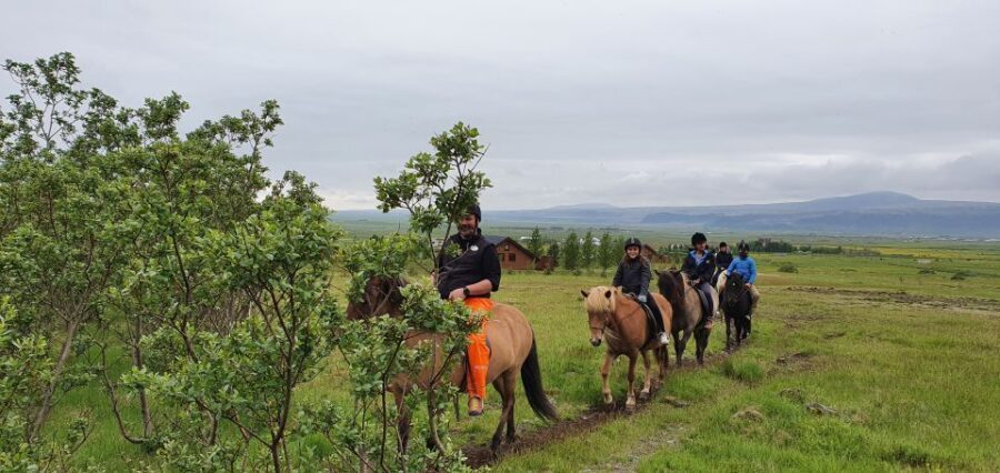 Hveragerdi: Reykjadalur (Hotspring Valley) Horse Riding Tour - Getting to Reykjadalur from Hveragerði: why this ride works