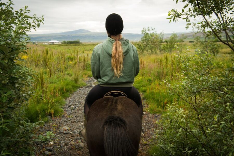 Hveragerdi: Reykjadalur (Hotspring Valley) Horse Riding Tour - Who this is best for—and who should skip it