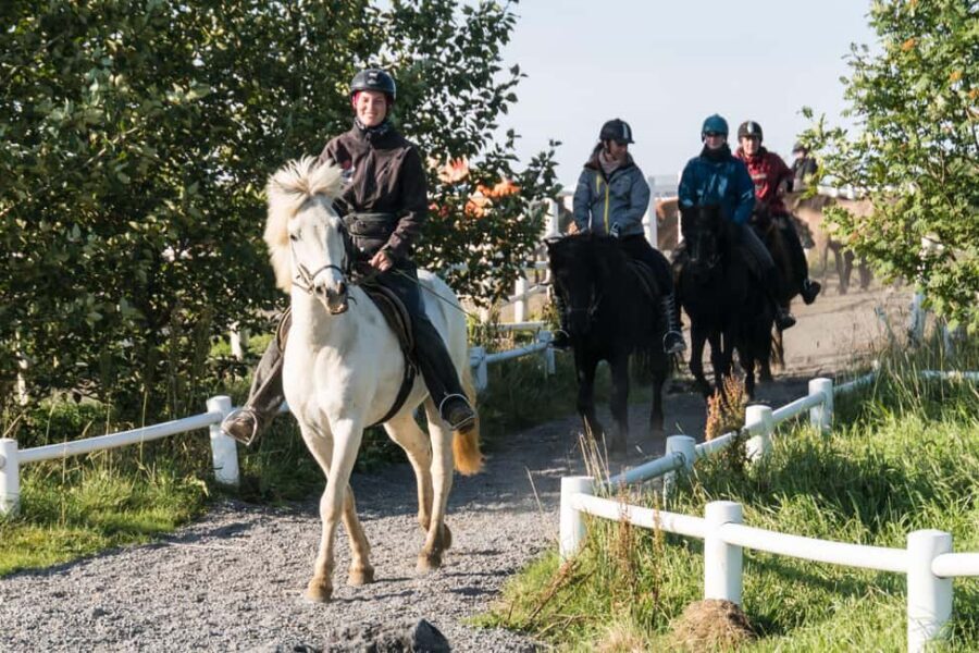 Hveragerdi: The Siggi Horse Riding Tour - Hveragerði Horse Country: Why This Ride Feels More Like Iceland