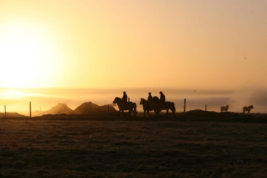 Hveragerdi: The Siggi Horse Riding Tour - The 1.5–2 Hour Riding Plan: Meadows, Lava Ground, and River Views