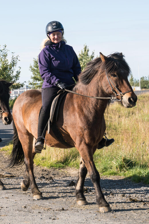Hveragerdi: The Siggi Horse Riding Tour - Icelandic Horses and the Tölt: What You’ll Learn While Riding