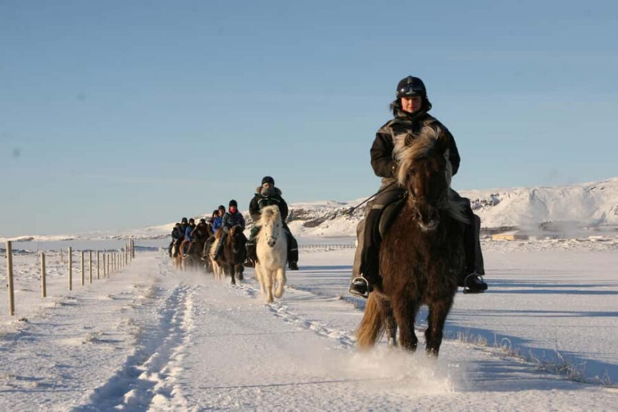 Hveragerdi: The Siggi Horse Riding Tour - Safety Gear and What to Bring (So You’re Not Miserable)