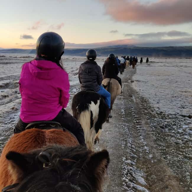 Hveragerdi: The Siggi Horse Riding Tour - Who This Tour Suits Best (And Who Should Look Elsewhere)