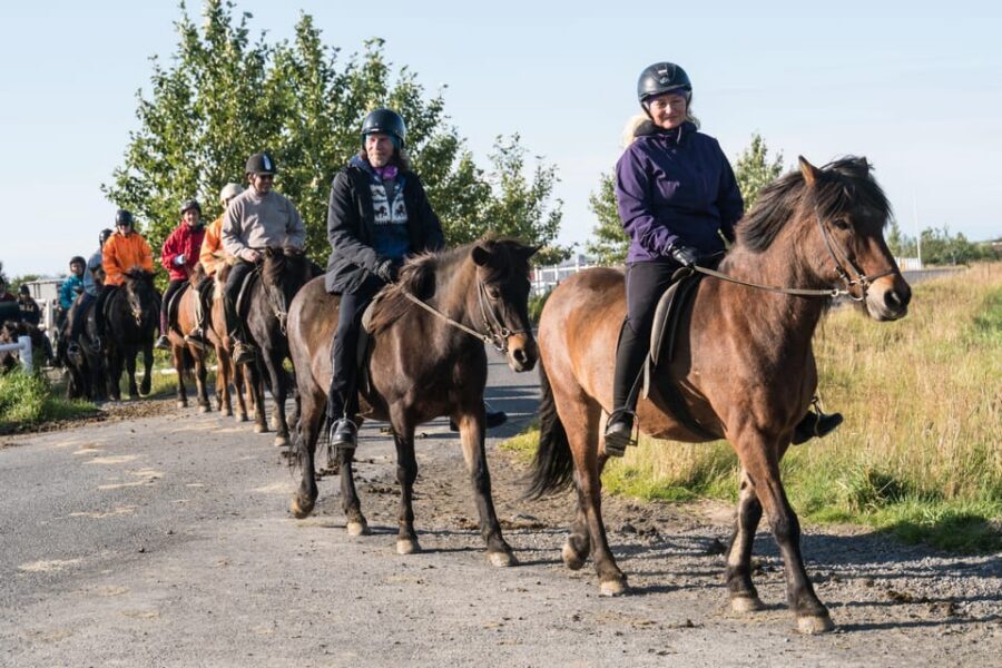Hveragerdi: The Siggi Horse Riding Tour - Weather and Route Choices: How the Tour Keeps It Comfortable