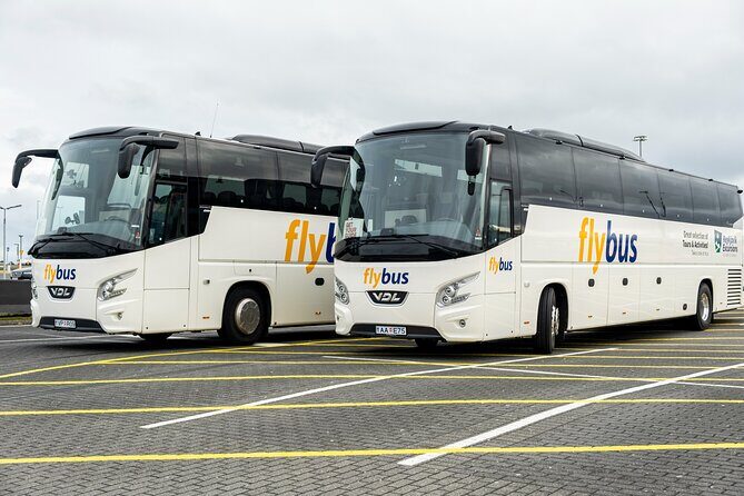 Iceland: Airport Transfers between Keflavik and Reykjavik Hotels - Key Points Worth Knowing Before You Go