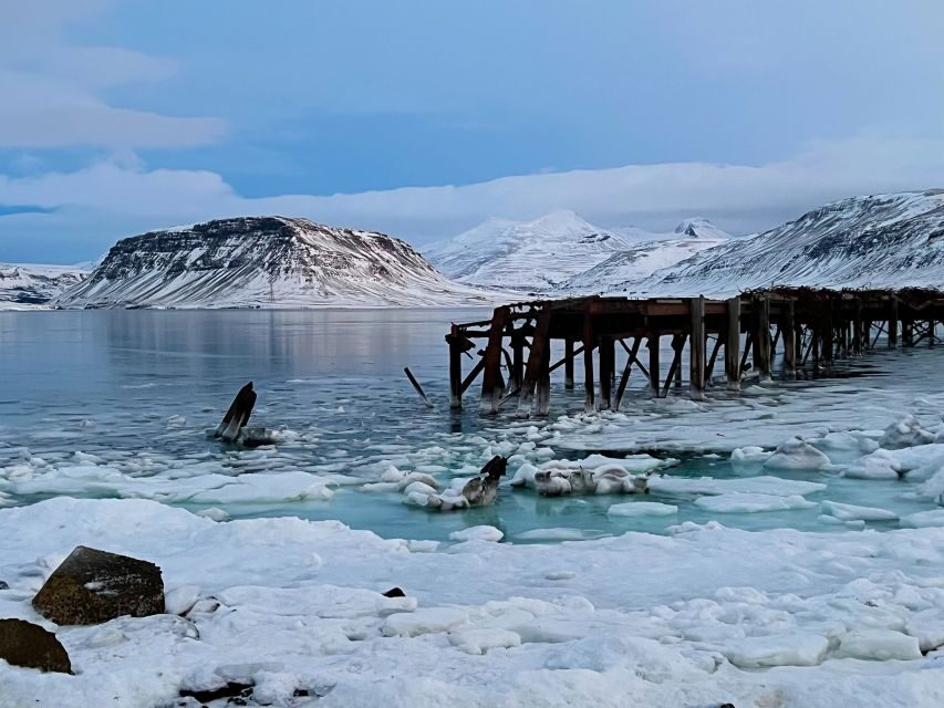 Iceland in a nutshell, private Super Jeep - Deildartunguhver Hot Spring Area: Steam, Scale, and Local Energy