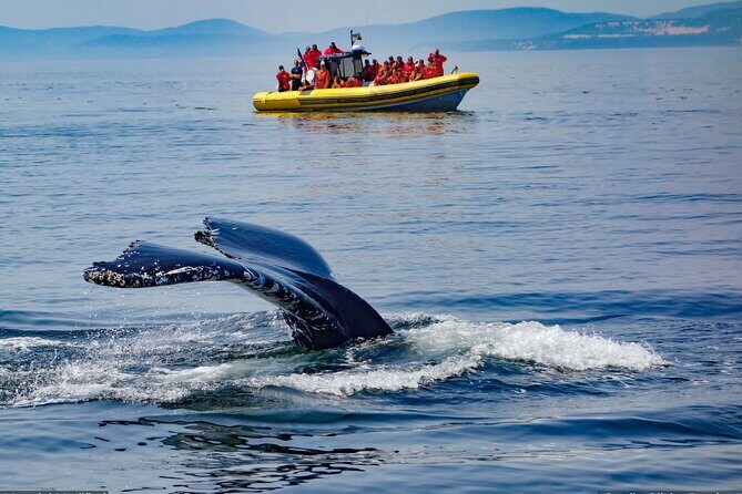 Iceland: See & Experience it ALL in 9 Days, 1st Class Custom Tours - Day 3 Reykjavik Reset: Hiking Askja or Reykjavik Sightseeing, Plus Spa Time