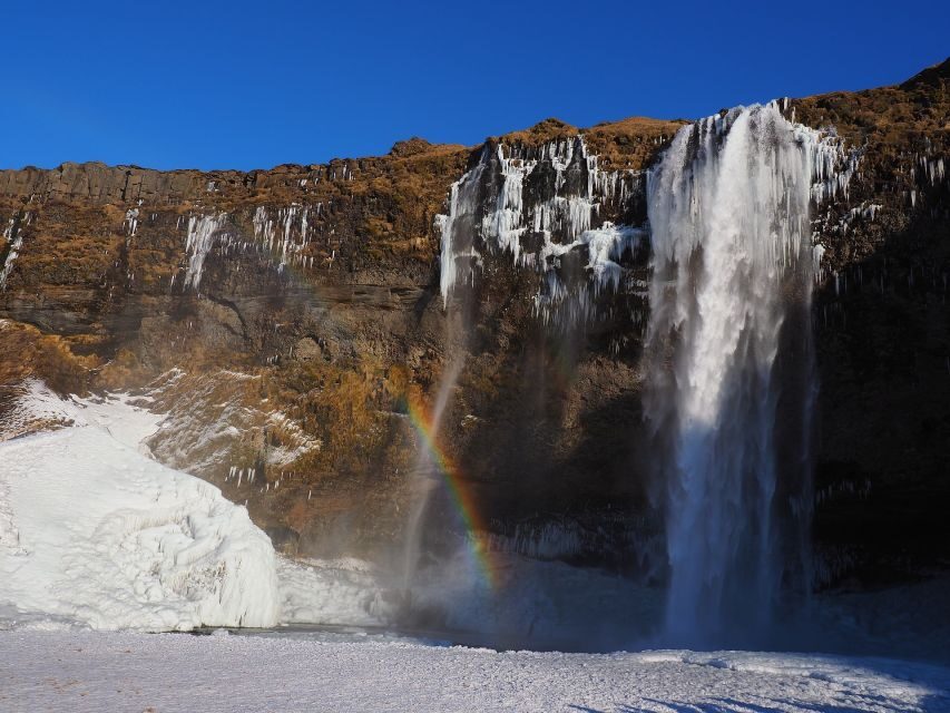 Iceland: South Coast and Northern Lights Tour - Vík village break: where the Ring Road really feels local