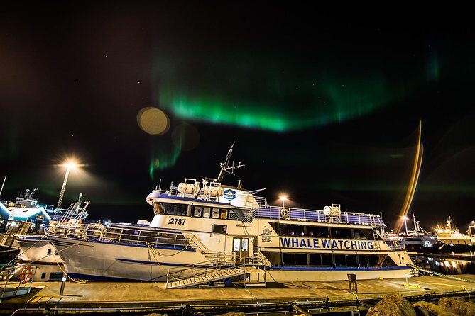 Iceland Super Saver: Northern Lights Cruise plus Whale-Watching Tour from Reykjavik - Onboard comfort kit: thermal overalls and heated seating (why it’s not fluff)
