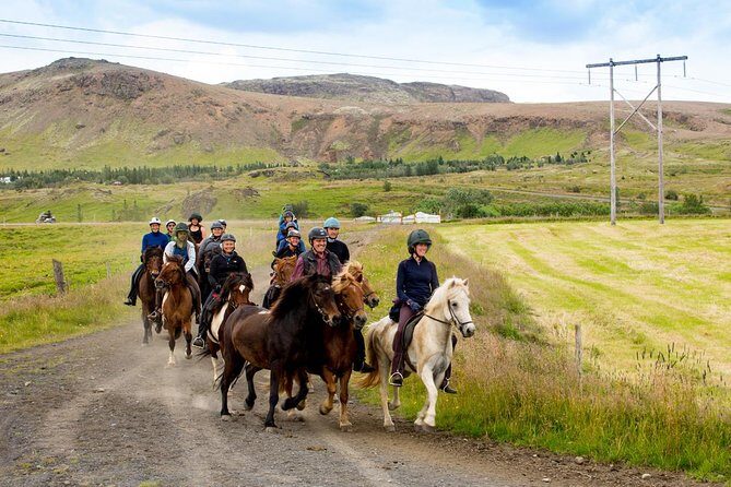 Icelandic Horse Riding and Whale Watching Cruise from Reykjavík - One Full Day of Iceland: Horses Near Hveragerði, Whales From Reykjavík