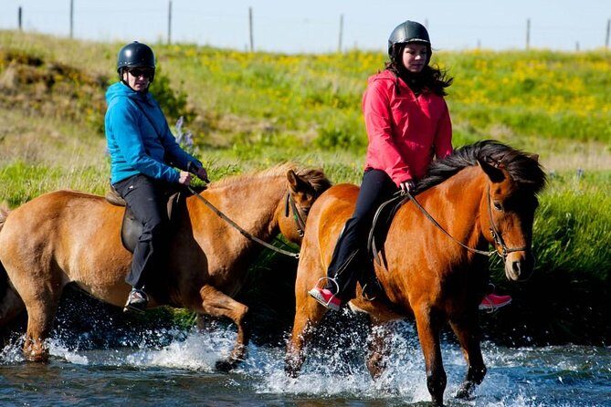 Icelandic Horse Riding and Whale Watching Cruise from Reykjavík - Price and Value: Is $280 Worth It?