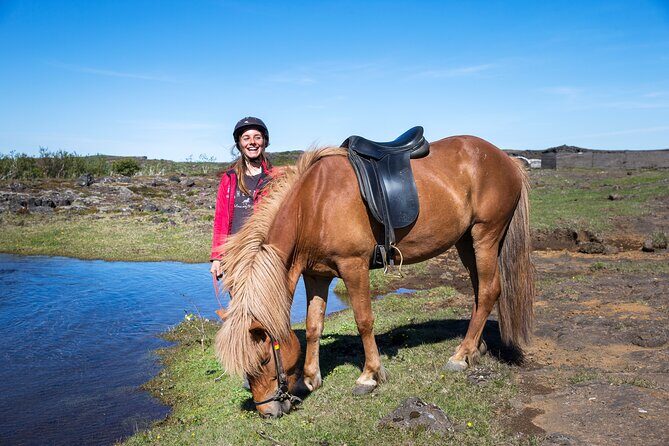 Icelandic Horse Riding and Whale Watching Tour from Reykjavik - Old Harbour to Faxaflói Bay: speedboat comfort and Wi-Fi on board