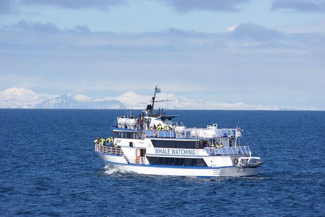Icelandic Horse Riding and Whale Watching Tour from Reykjavik - Lunch timing: how to avoid feeling rushed between the two experiences