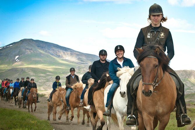 Icelandic Horseback Riding Tour Including Pick Up from Reykjavik - Key things I’d circle before you book
