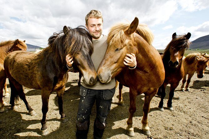Icelandic Horseback Riding Tour Including Pick Up from Reykjavik - Icelandic Horses Near Reykjavik: Why This Ride Feels Different