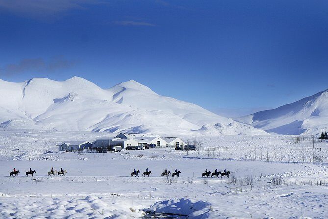 Icelandic Horseback Riding Tour Including Pick Up from Reykjavik - The Countryside Ride Outside Reykjavik: Rivers, Views, and Tölt