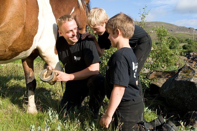 Icelandic Horseback Riding Tour Including Pick Up from Reykjavik - Coming Back to Warm Up: Cocoa, Coffee, and Pastries