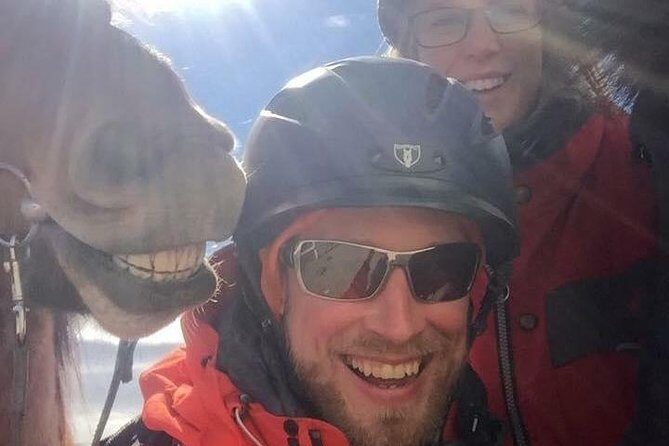 Icelandic Horseback Riding Tour Including Pick Up from Reykjavik - Who This Tour Fits Best (and Who Should Skip It)