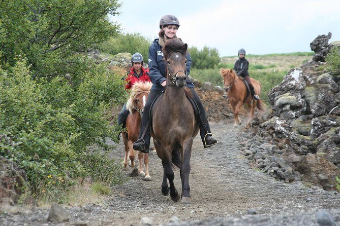 Icelandic Horseback Riding Tour with Pickup Option from Reykjavik - Key Highlights You’ll Feel Right Away