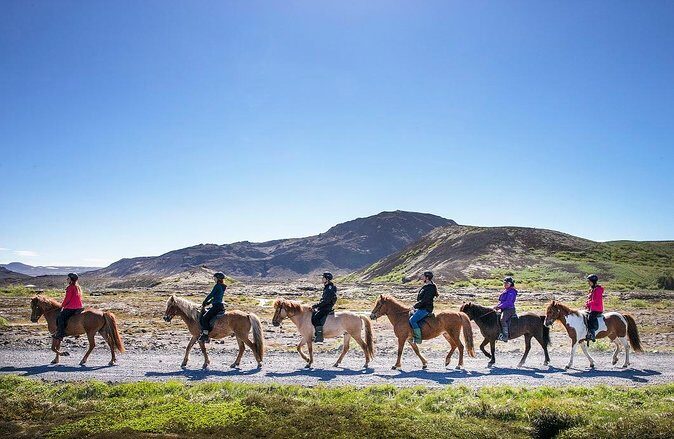Icelandic Horseback Riding Tour with Pickup Option from Reykjavik - Entering The Experience: A Reykjavik Horse Ride That Actually Fits Your Skill