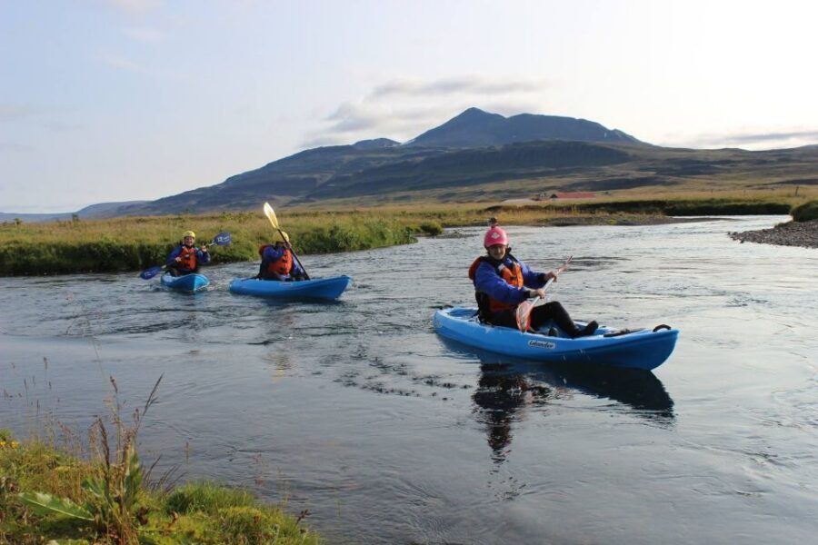 Icelandic Kayak Trip - The paddling route: gentle streams, close-to-nature views, and birdlife