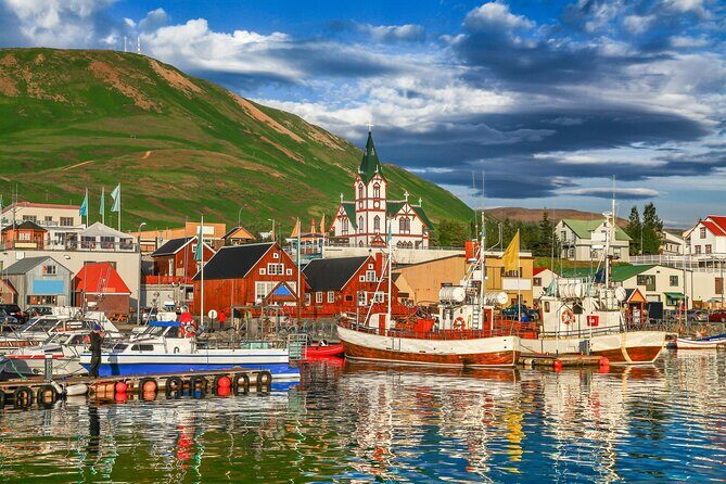 Iceland's Golden Circle Self-Guided Audio Driving Tour - Thingvellir and Öxarárfoss: where geology feels personal