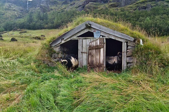 Iceland's south coast G spots - Guides, Conversations, and Pacing That Doesn’t Feel Rushed