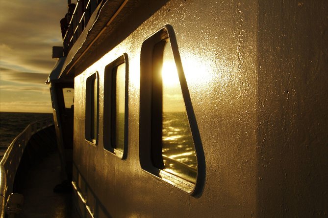 Magical Whales in the Midnight Sun | from Reykjavik - What you might see on the deck
